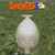 Crazy Cattle 3D
