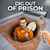 Dig Out of Prison