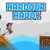 Harbour Havoc