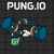 Pung.io
