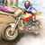 Real Bike Race