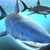 Sharks 3D Multiplayer