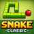 Snake Classic