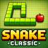 Snake Classic