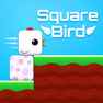Square Bird