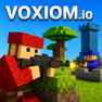 Voxiom.io